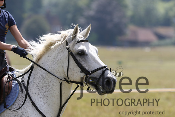 joe_5366j