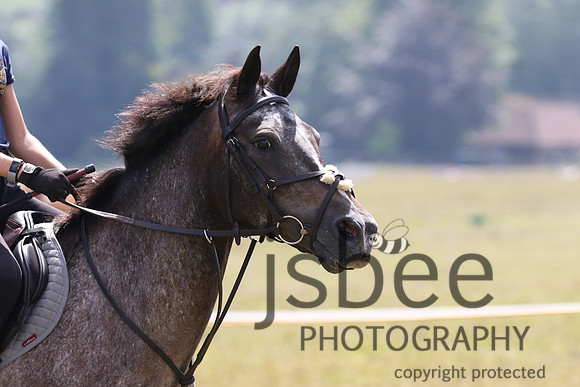 joe_5371j