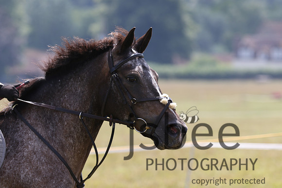 joe_5373j