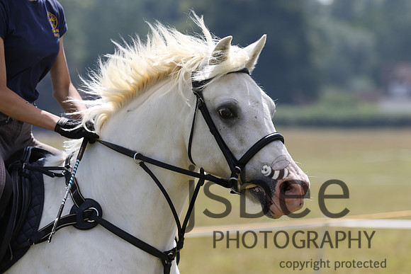 joe_5376j