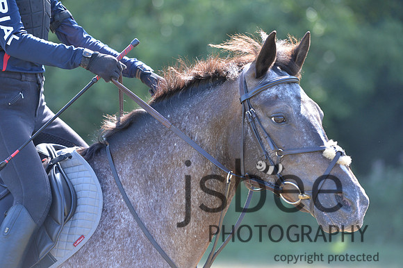 dsb_8032s