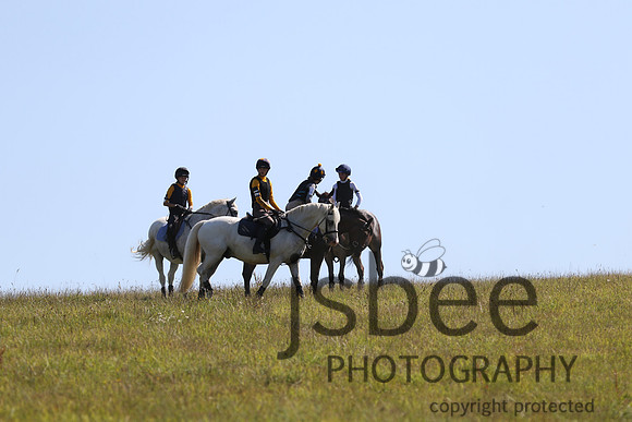 joe_6509j