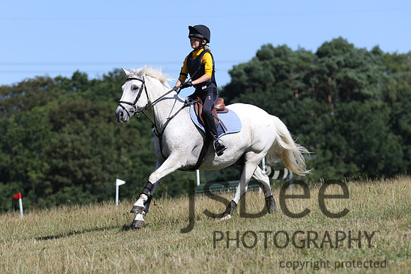 joe_6541j