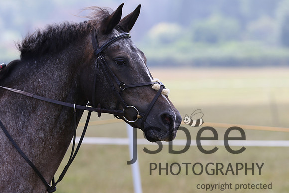 joe_5349j