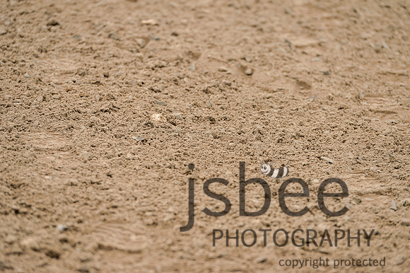 dsb_1276s