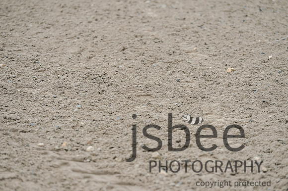 dsb_1072s
