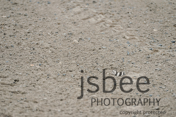 dsb_1315s