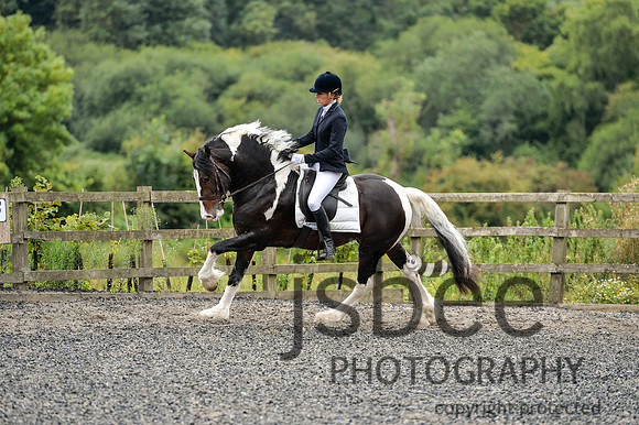 dsb_1615s