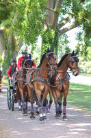 DSC_6563-13