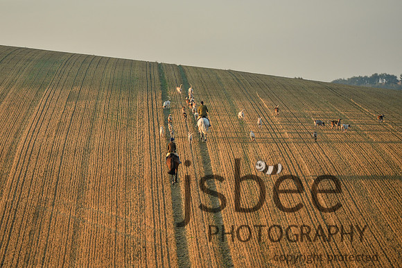 DSB_3887-19