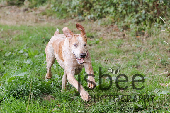 JOE_7256