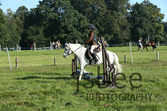 th5d8046t