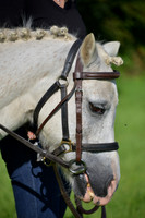 dsc_0211j