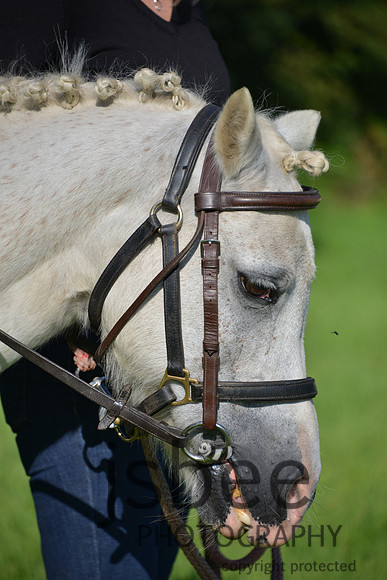 dsc_0211j