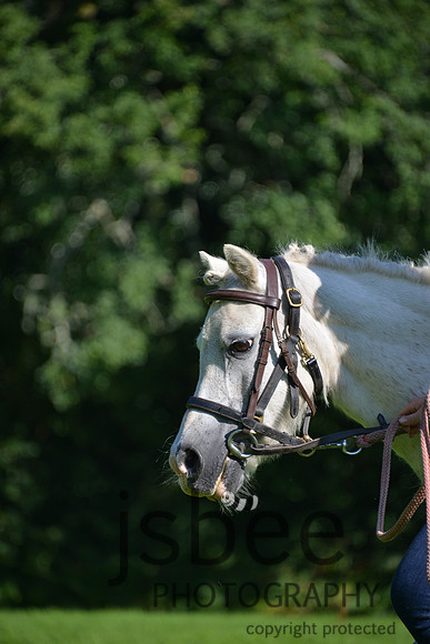 dsc_0309j