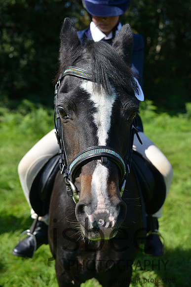 dsc_0601j