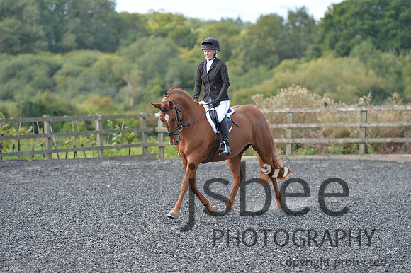 dsb_7313s