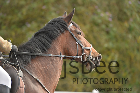 dsb_0179s