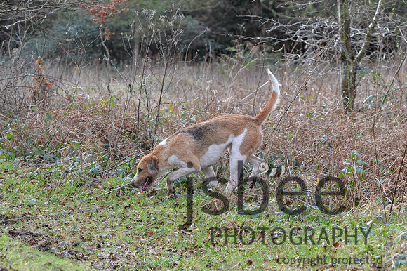 DSB_0032-20