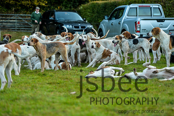 DSB_0965-15