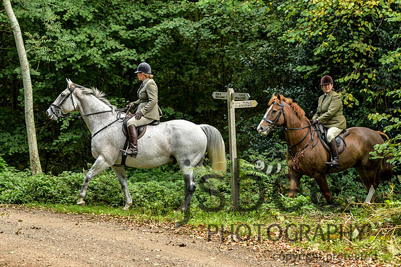DSB_0966-16