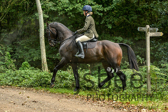 DSB_0970-20