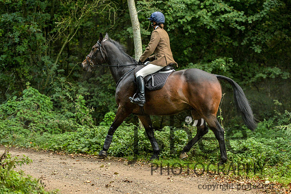 DSB_0971-21