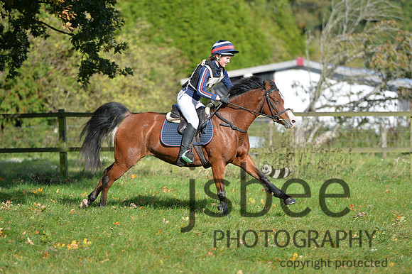 dsb_1520s