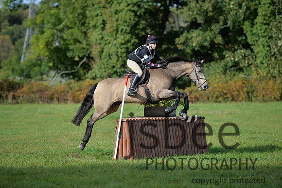 dsb_2014s