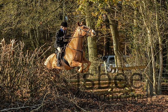 DSB_5306-110