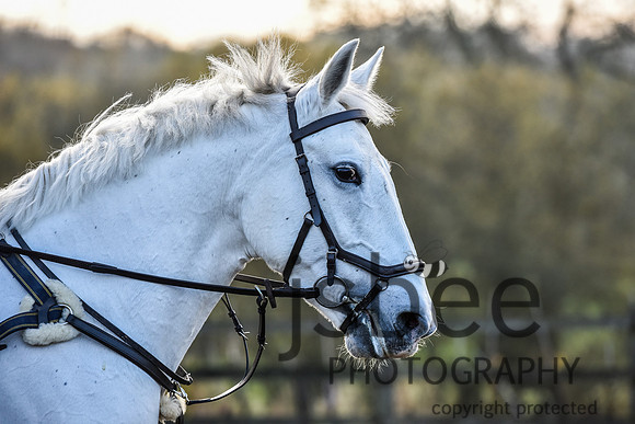 SLB_5518-8