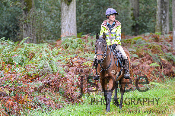 DSB_6689-38