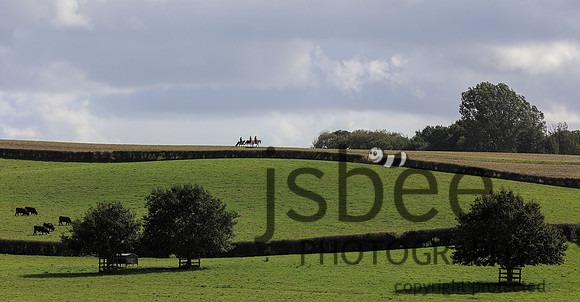 JOB_1534
