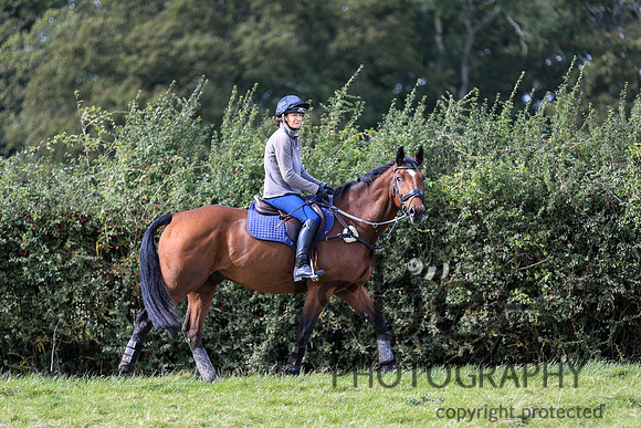 JOB_1596