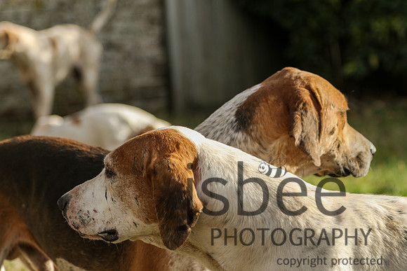 JOE_0786