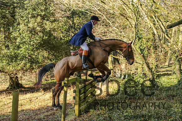 AAJ_5731