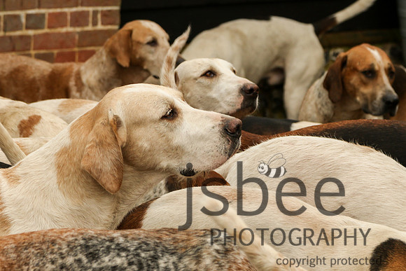 JOE_1578