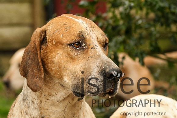 JOE_1632