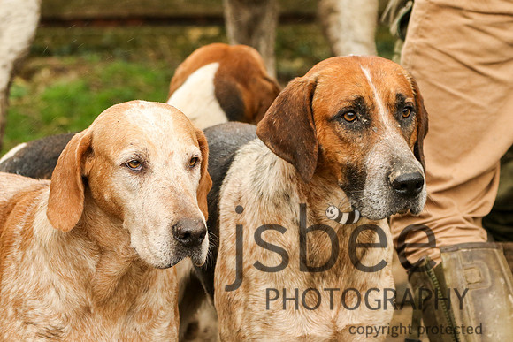 JOE_1635