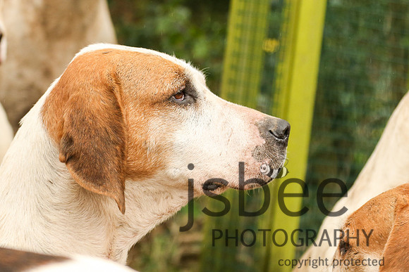 JOE_1636