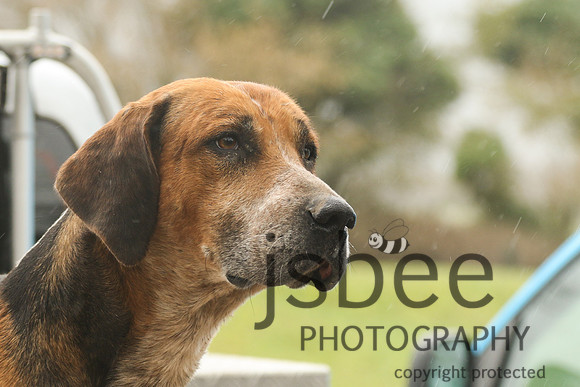 JOE_1645