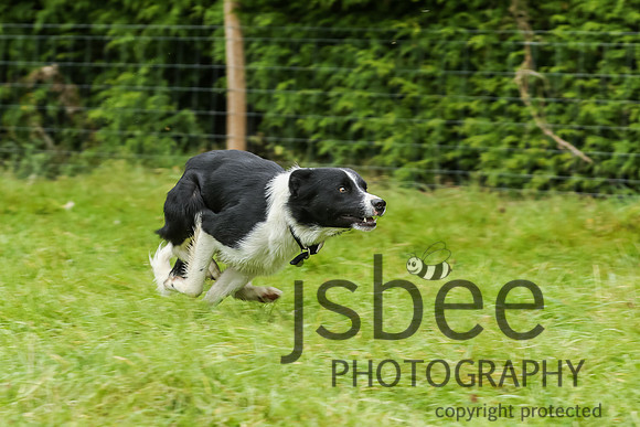 JOE_1648