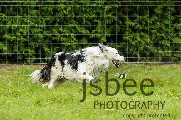 JOE_1661