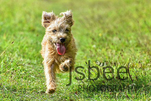 SLB_0630-1