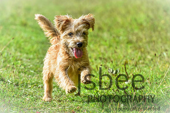 SLB_0644-2