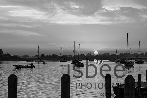 AAJ_1243 BW