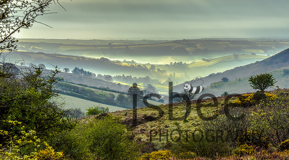 Exmoor view 2