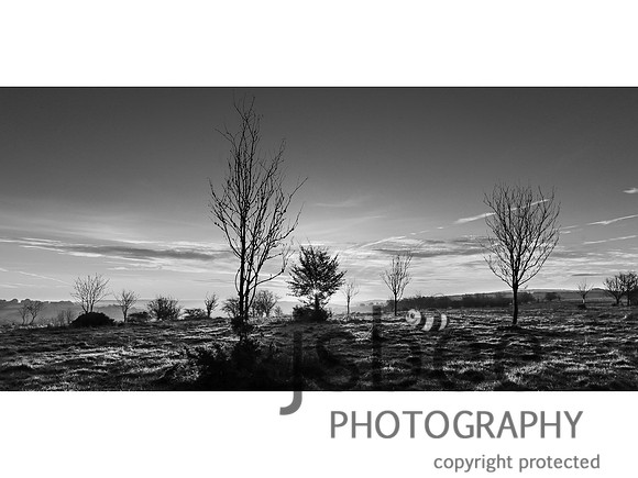 AAJ_9836 16 x 12 BW
