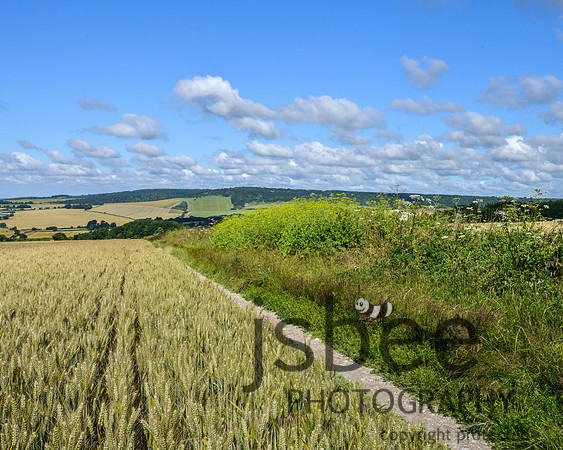 DSC_0101-1 10 x 8