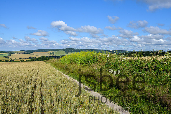 DSC_0101-1